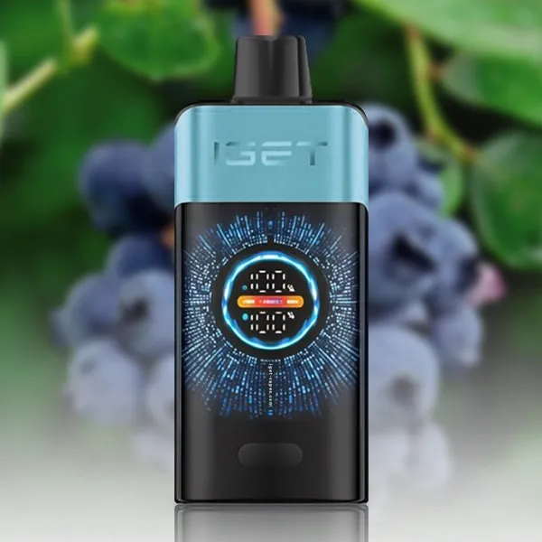 IGET One 12000 Blueberry Ice